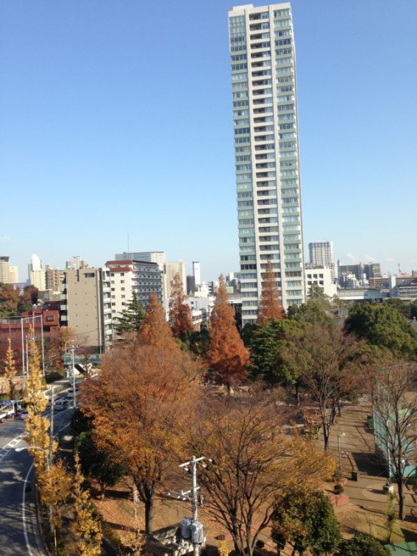 Top 5 Mistakes Expats Make When Searching for an Apartment in Japan