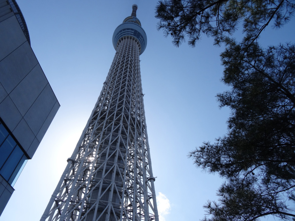 Skytree!