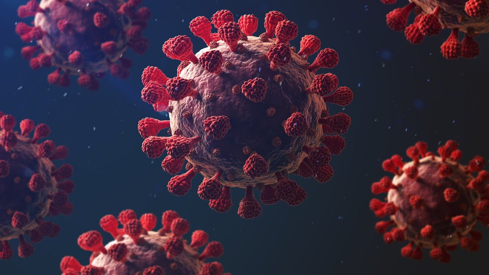 My Experience Getting Coronavirus in Japan
